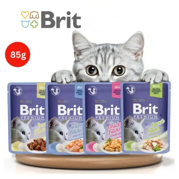 Brit Premium Delicate Salmon Fillets in Jelly Wet Cat Food Pouch   | Canine & Co