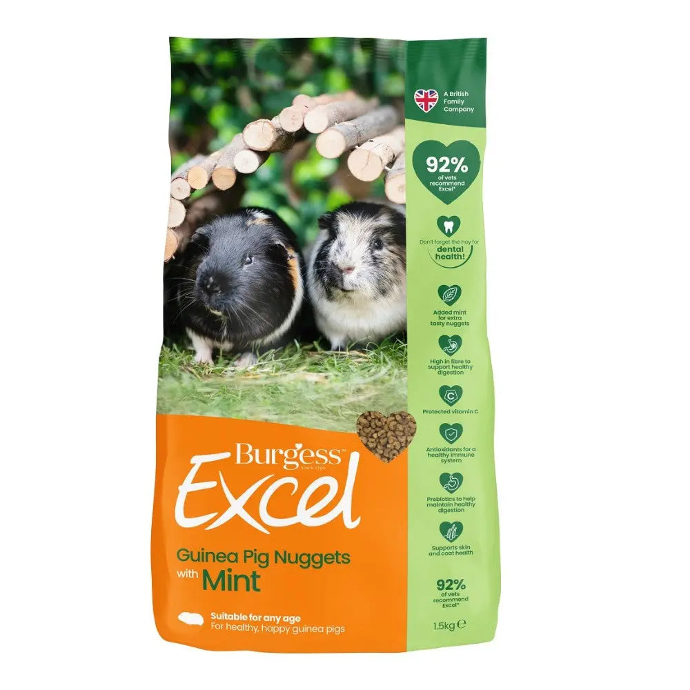 Burgess Excel Guinea Pig Nuggets with Mint, nutritious food for healthy, happy guinea pigs.