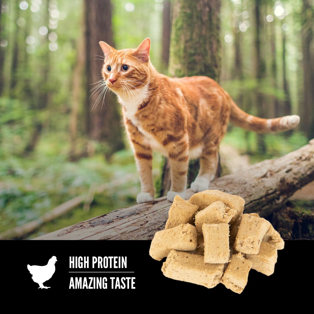 Orijen Original Freeze-Dried Cat Treats – product detail image (Canine & Co (South Africa))