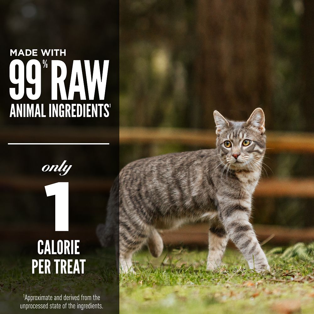 Orijen Original Freeze-Dried Cat Treats – product detail image (shop online South Africa)
