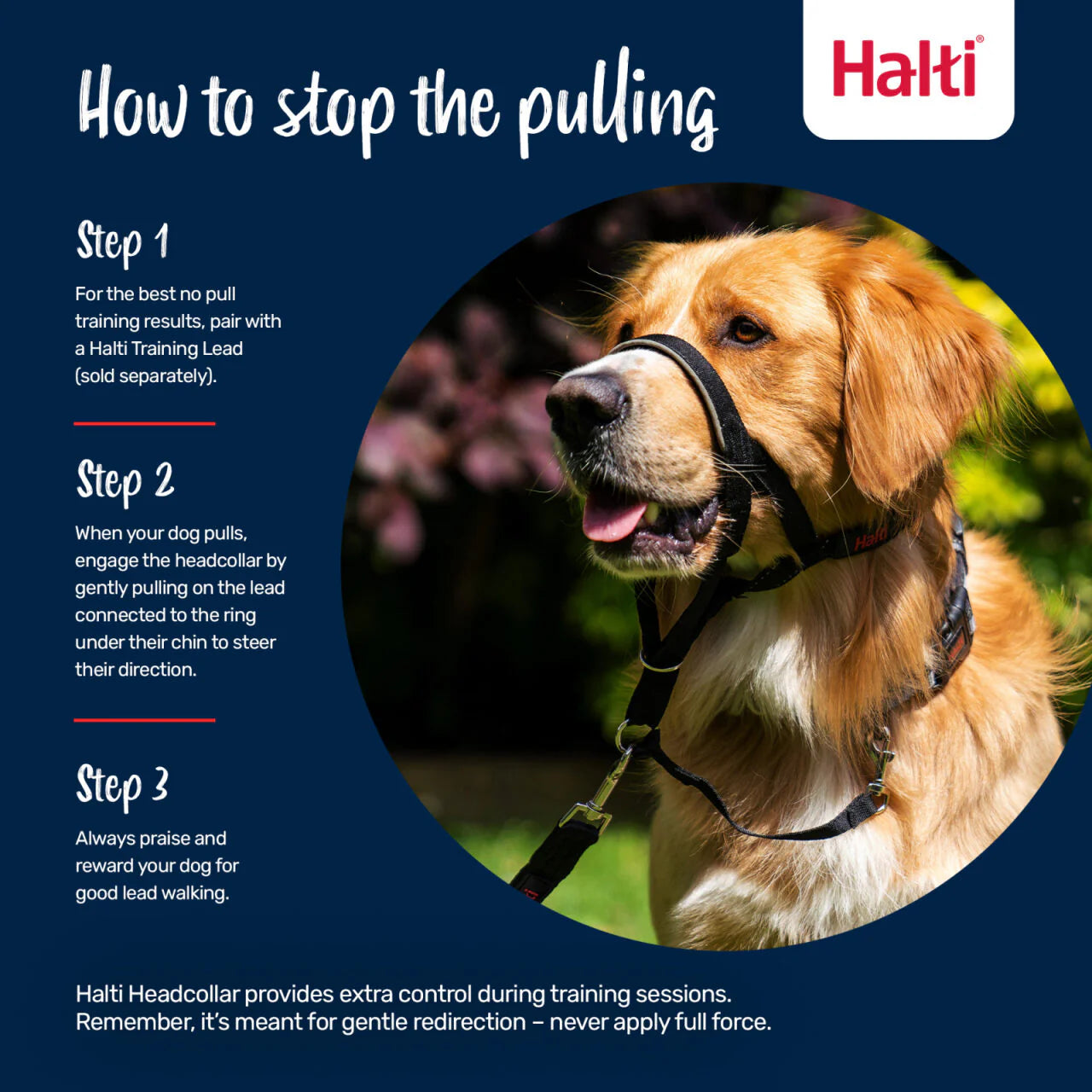 Company of Animals Halti Headcollar