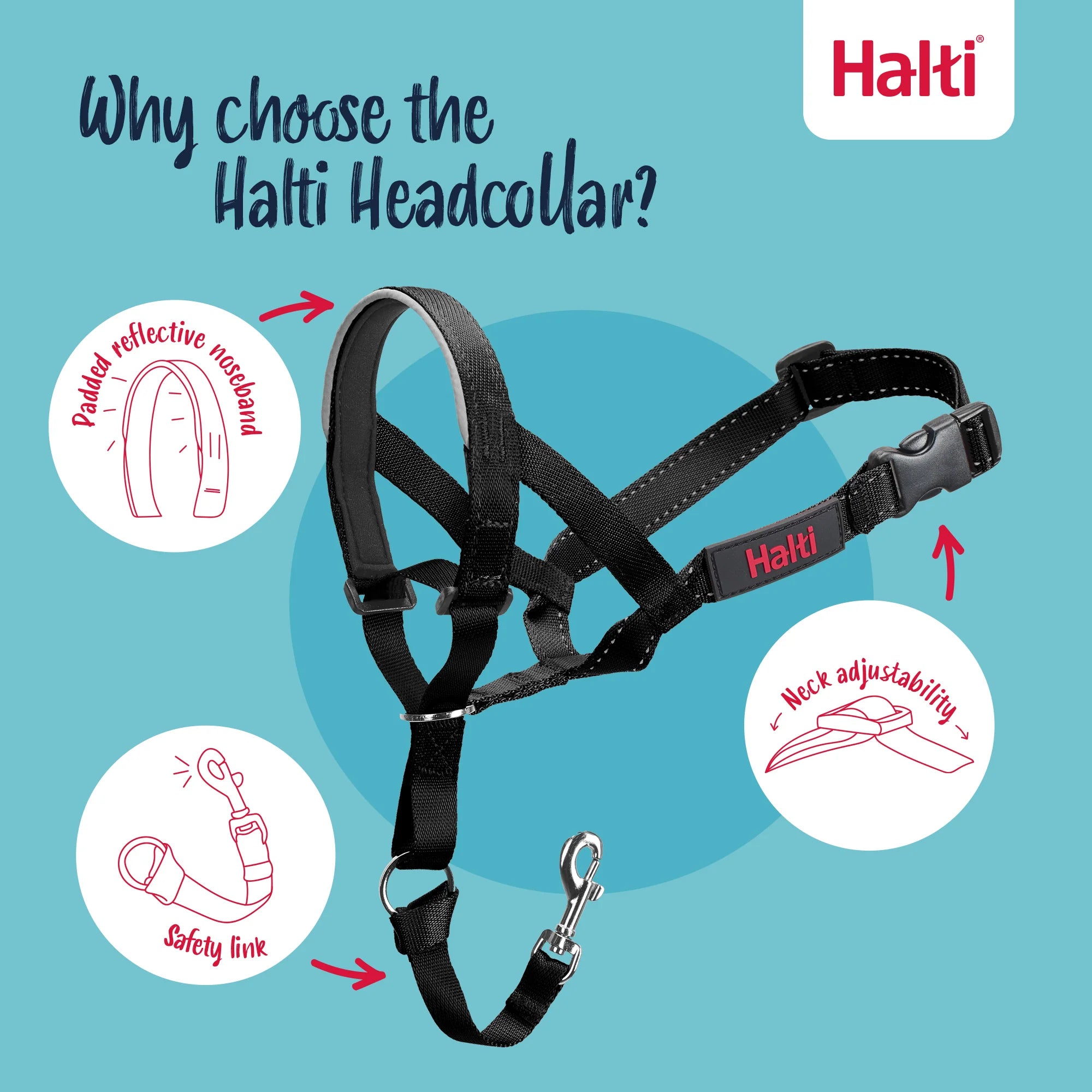 Company of Animals Halti Headcollar
