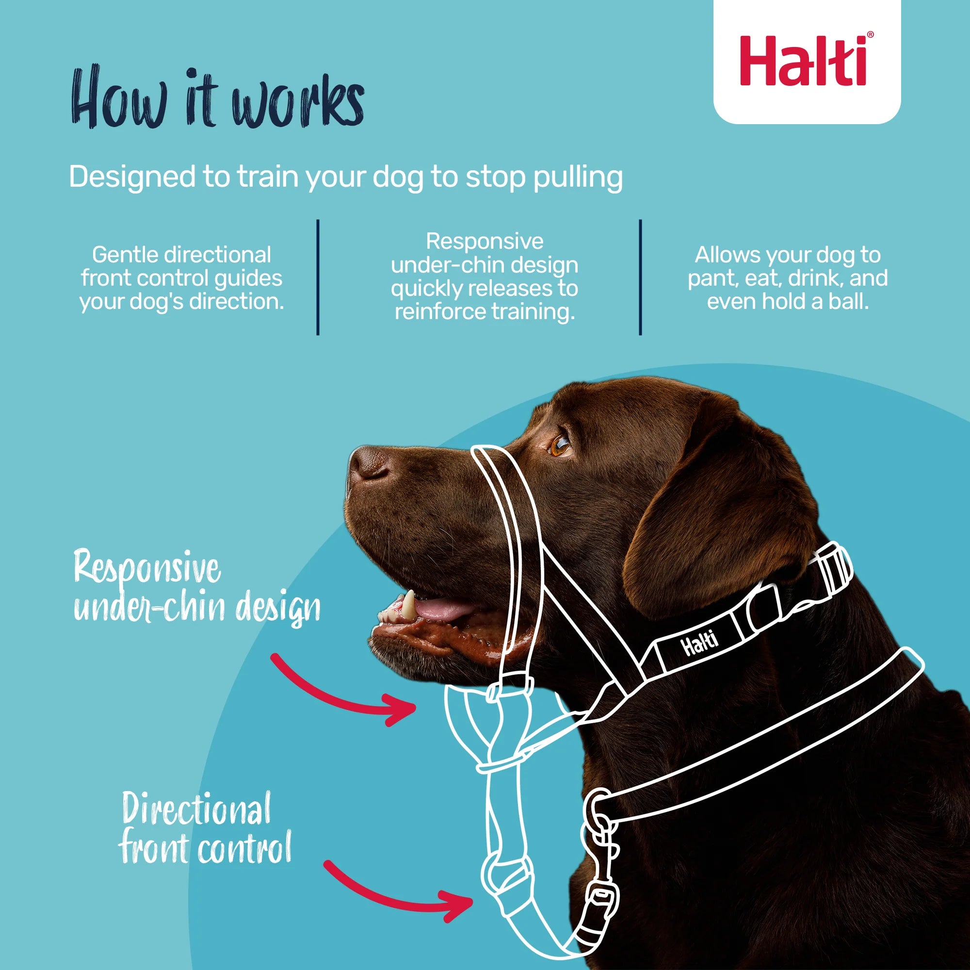 Company of Animals Halti Headcollar