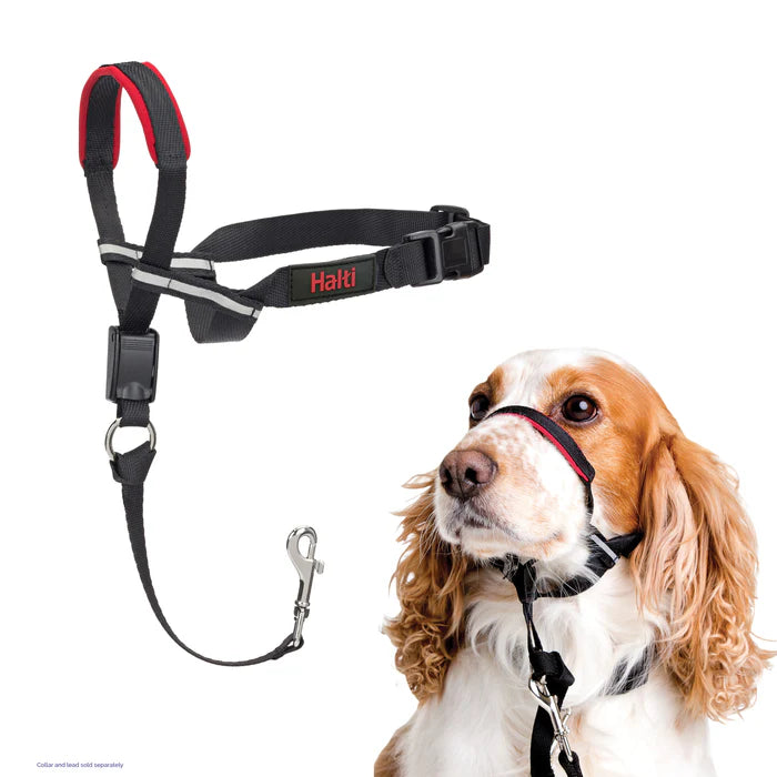 Company of Animals Halti OptiFit Head Collar
