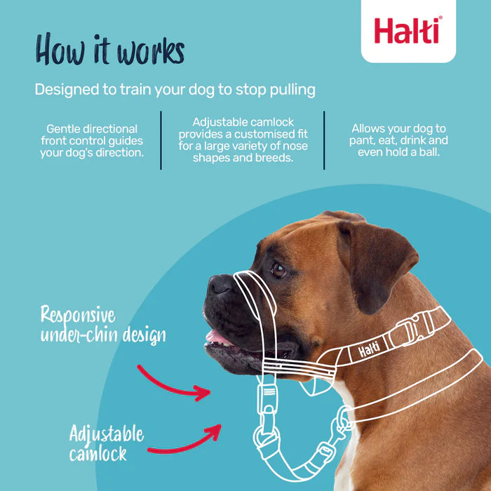 Company of Animals Halti OptiFit Head Collar