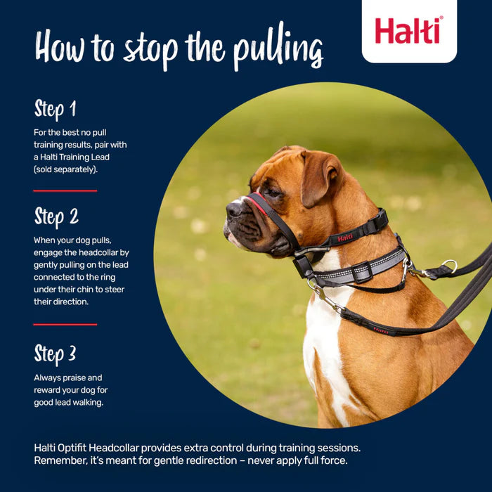 Company of Animals Halti OptiFit Head Collar