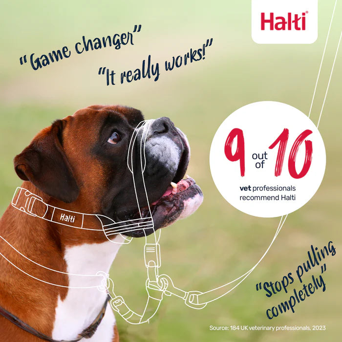 Company of Animals Halti OptiFit Head Collar
