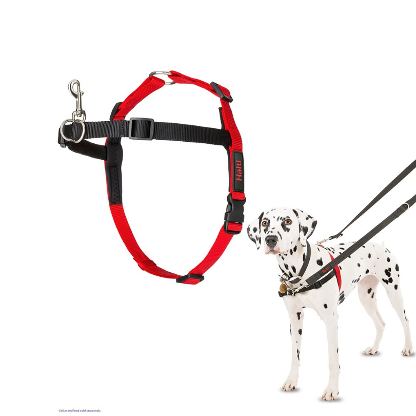 Company of Animals Halti Front Control Harness