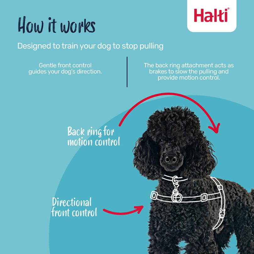 Company of Animals Halti Front Control Harness