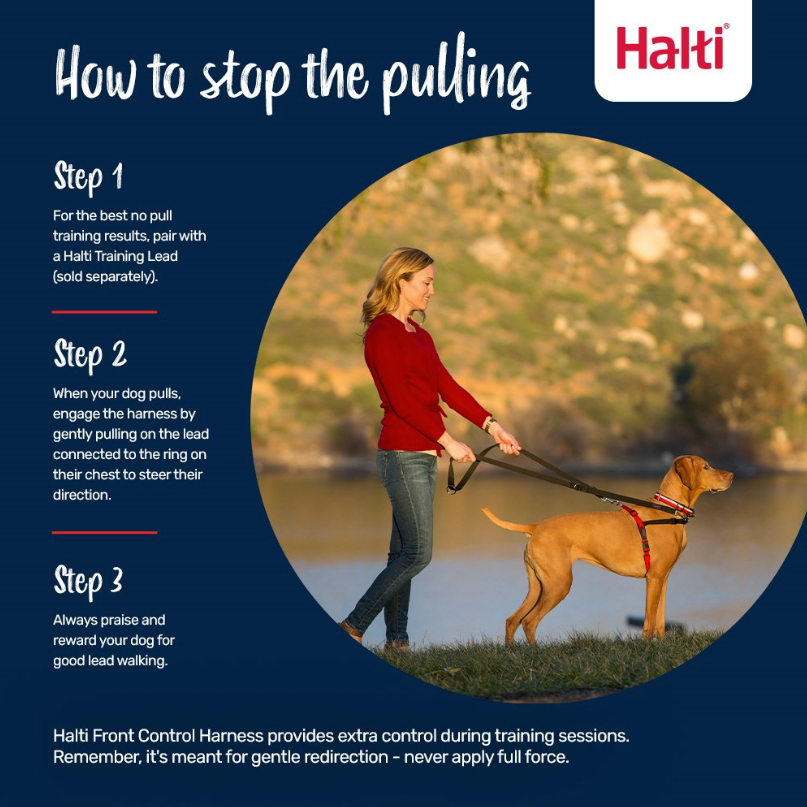 Company of Animals Halti Front Control Harness