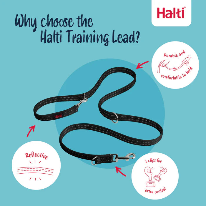Company of Animals Halti Training Lead