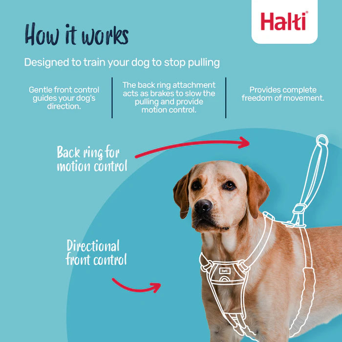 Company of Animals Halti No Pull Harness