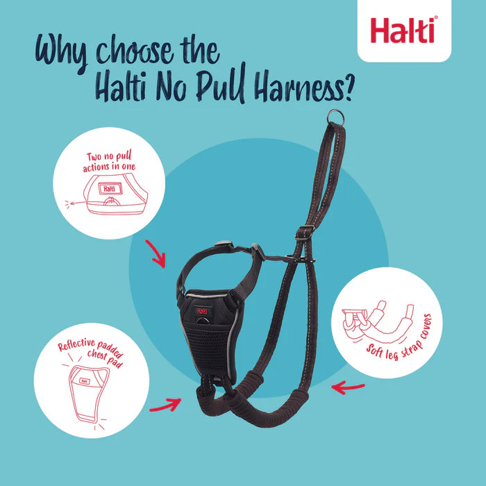 Company of Animals Halti No Pull Harness