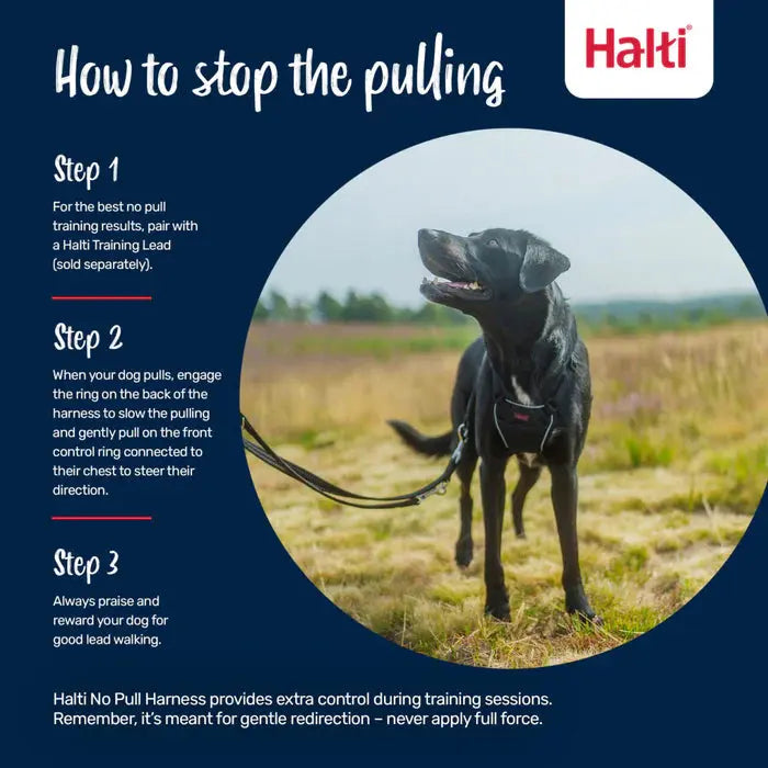 Training Proper Way To Put On A Dog Harness Halti Lead How To Use