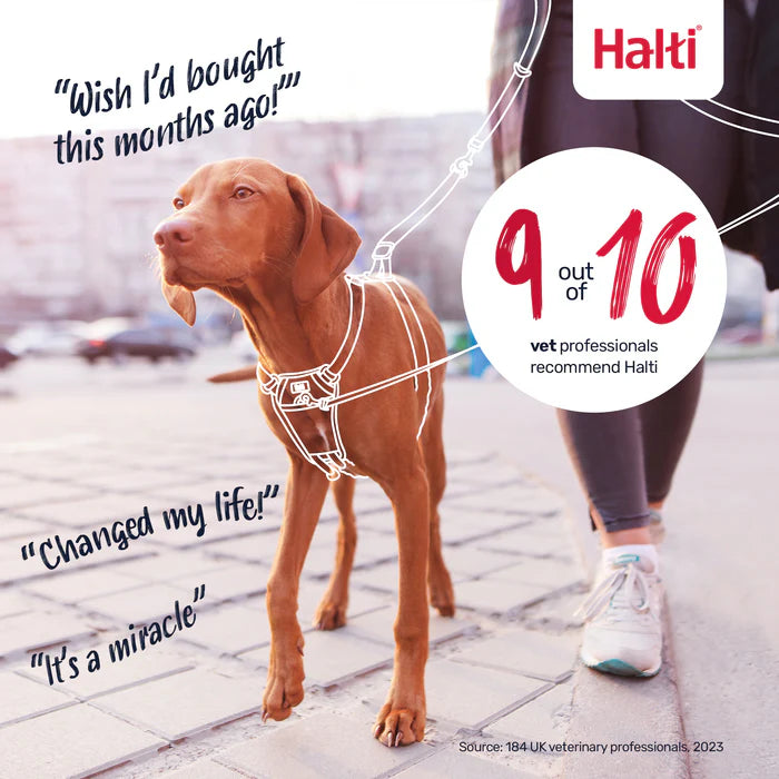 Company of Animals Halti No Pull Harness
