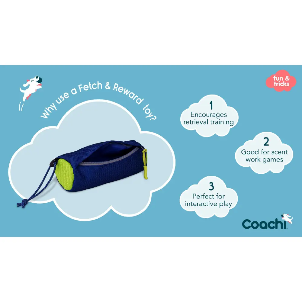 Company of Animals Coachi Fetch & Reward Dog Toy