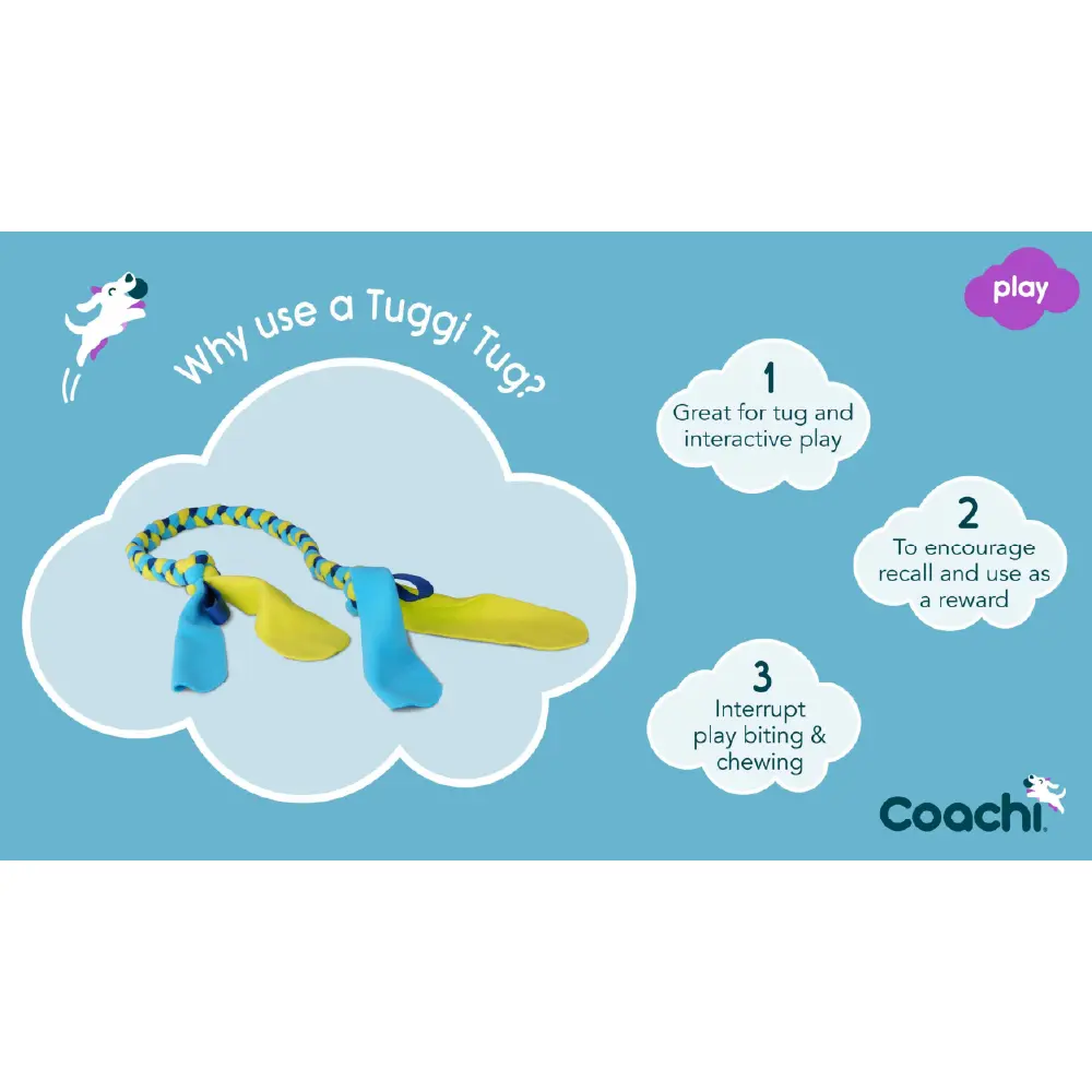 Company of Animals Coachi Tuggi Tug Dog Toy