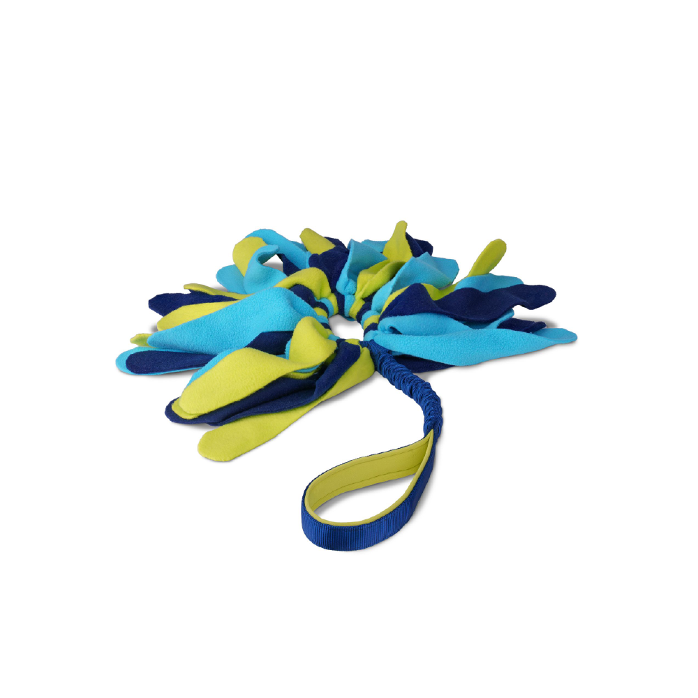 Company of Animals Coachi Tuggi Spider Dog Toy