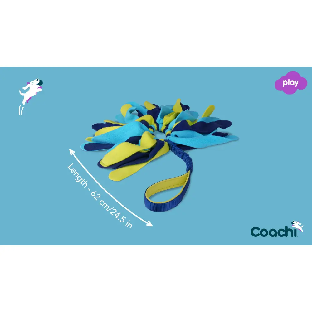 Company of Animals Coachi Tuggi Spider Dog Toy