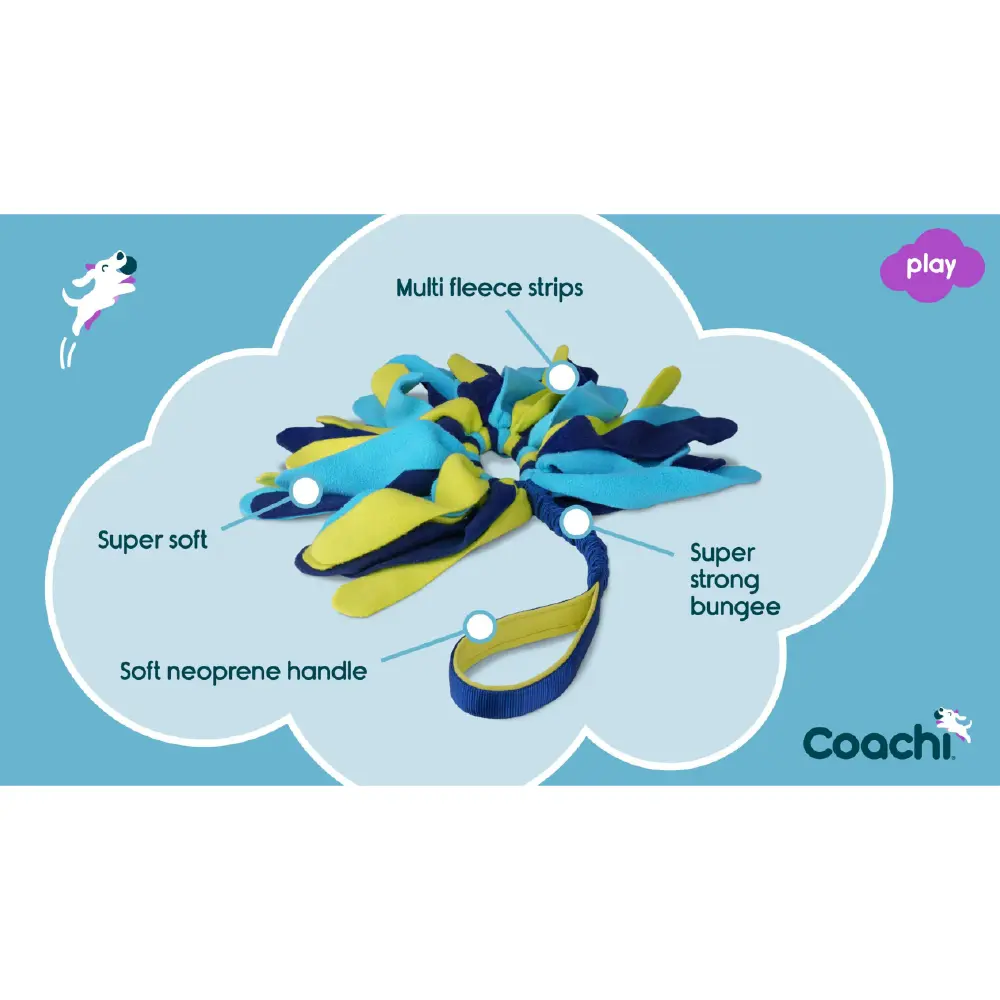 Company of Animals Coachi Tuggi Spider Dog Toy