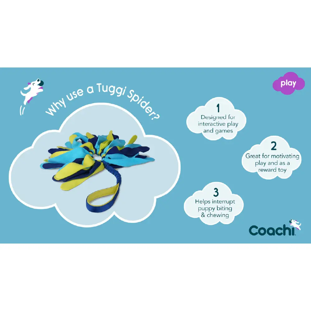 Company of Animals Coachi Tuggi Spider Dog Toy