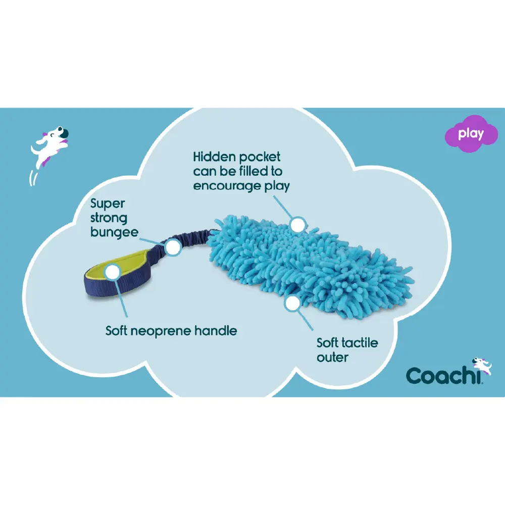 Company of Animals Coachi Tuggi Hide Dog Toy
