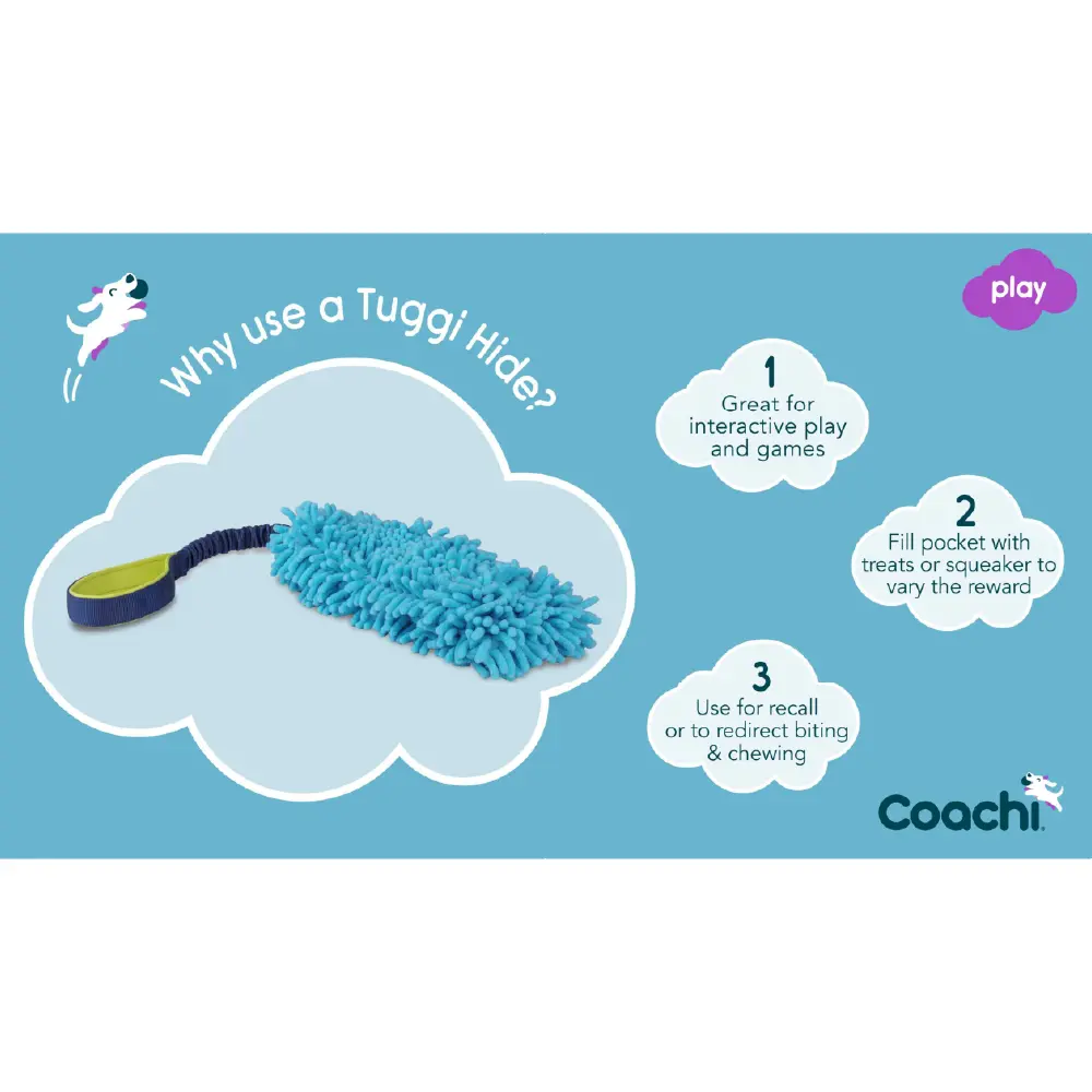Company of Animals Coachi Tuggi Hide Dog Toy