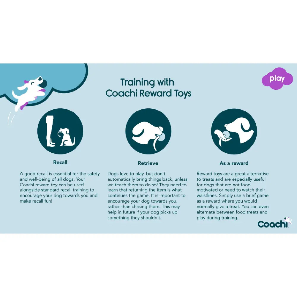 Company of Animals Coachi Tuggi Hide Dog Toy