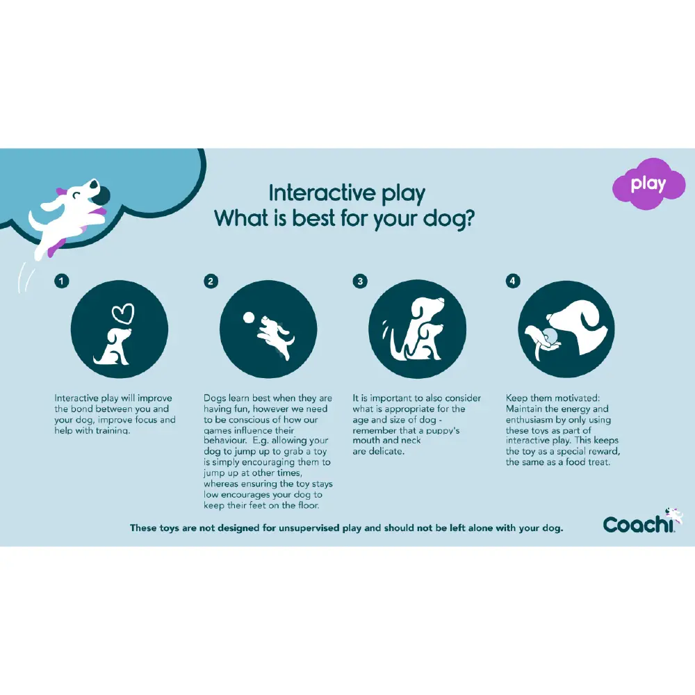 Company of Animals Coachi Tuggi Hide Dog Toy
