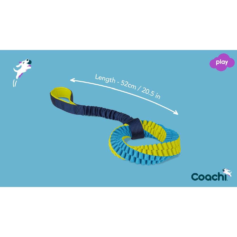 Company of Animals Coachi Tuggi Helix Dog Toy