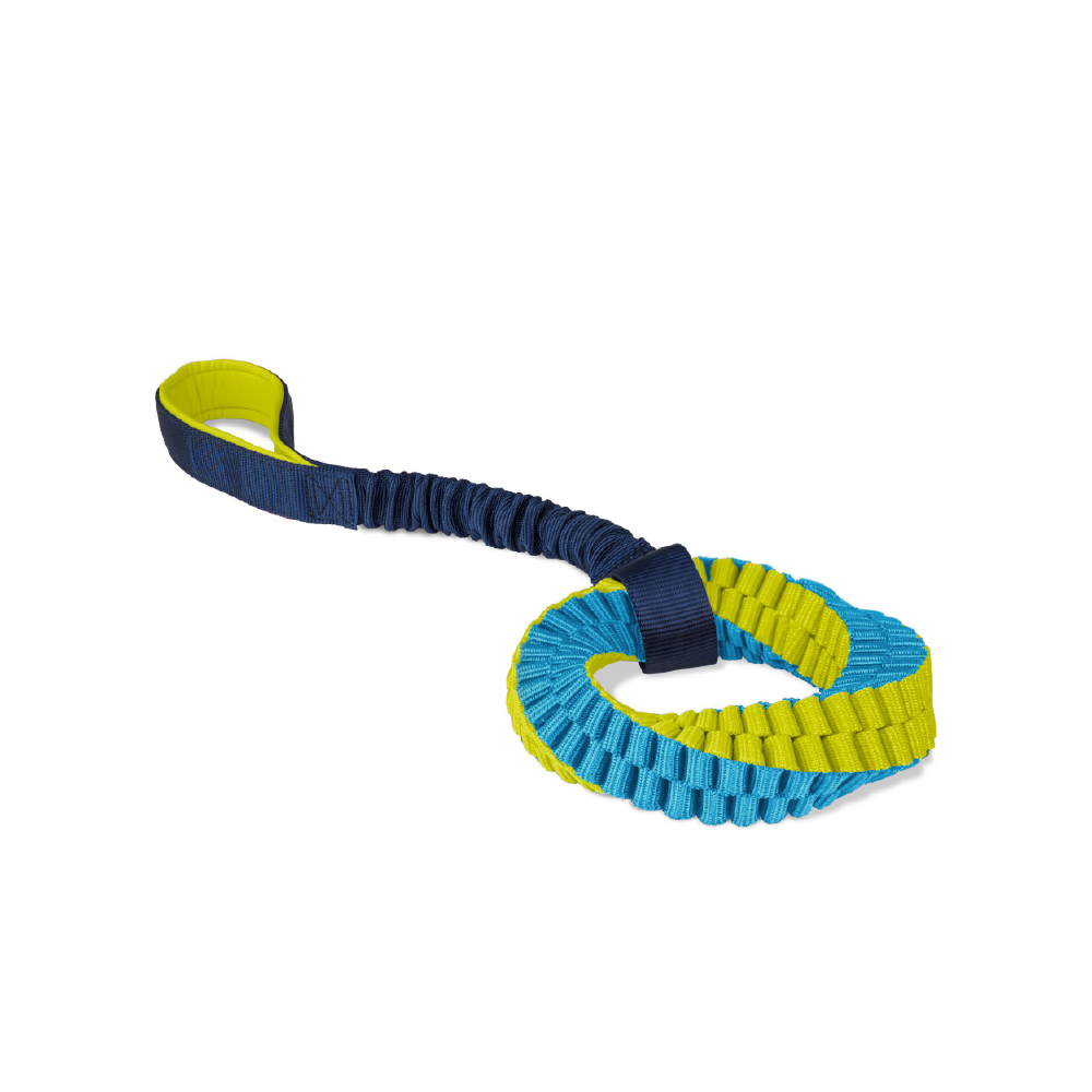 Company of Animals Coachi Tuggi Helix Dog Toy
