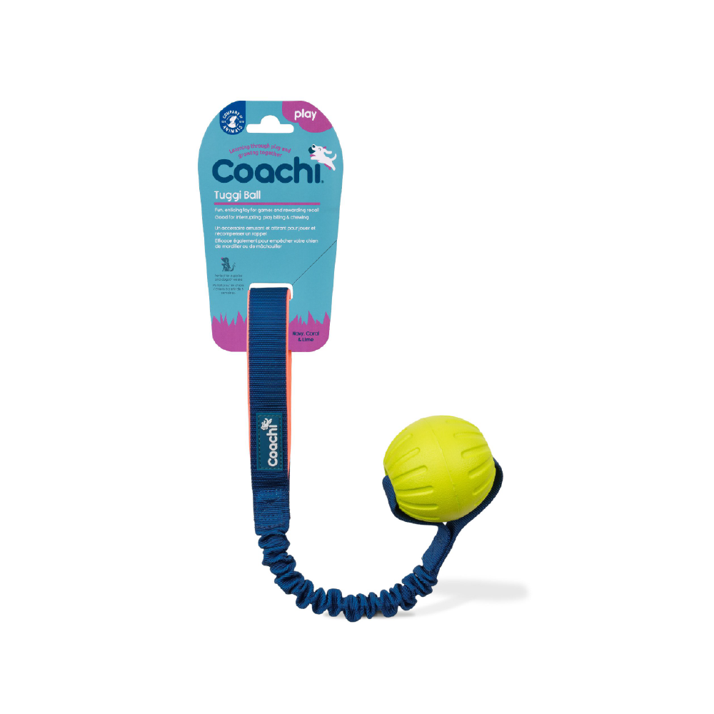 Dog Ball Toys