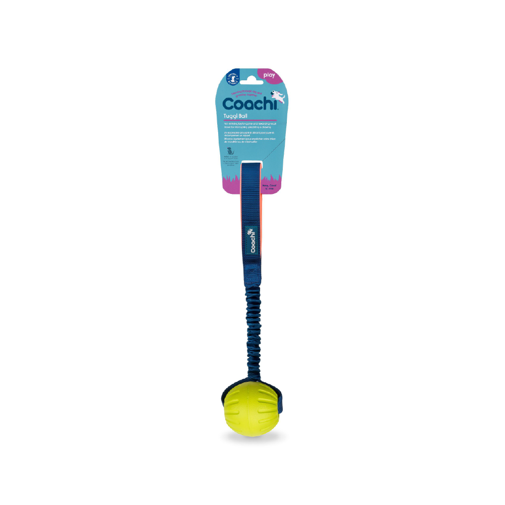 Company of Animals Coachi Tuggi Ball Dog Toy