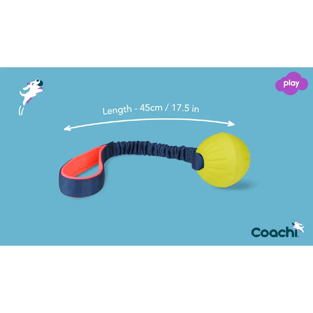 Company of Animals Coachi Tuggi Ball Dog Toy