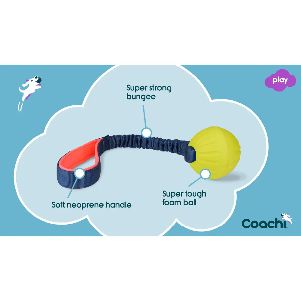 Company of Animals Coachi Tuggi Ball Dog Toy