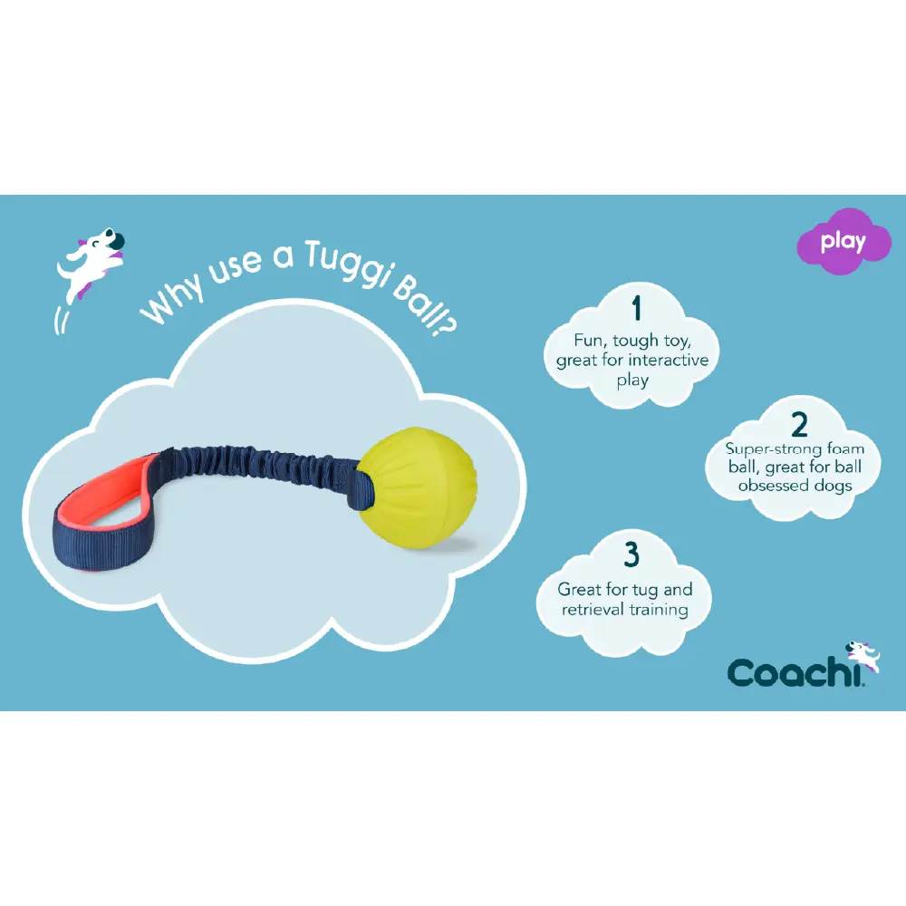 Company of Animals Coachi Tuggi Ball Dog Toy