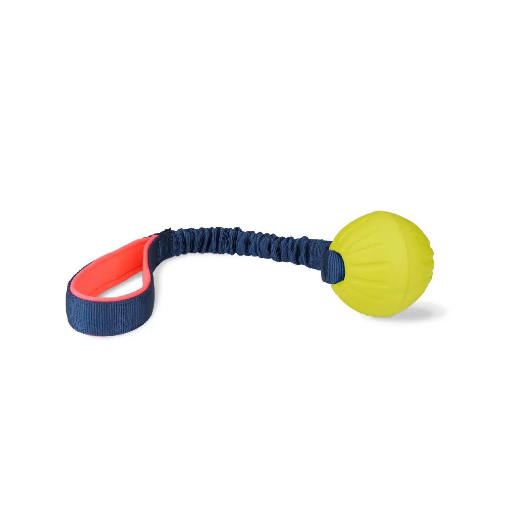 Company of Animals Coachi Tuggi Ball Dog Toy