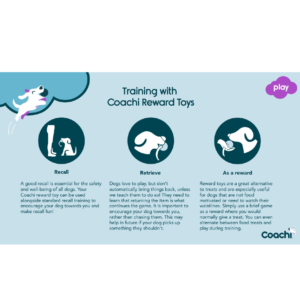 Company of Animals Coachi Chase & Treat Dog Toy