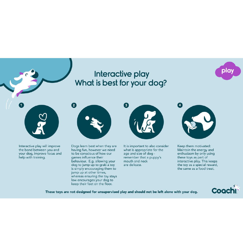 Company of Animals Coachi Chase & Treat Dog Toy