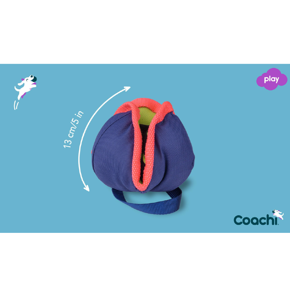 Company of Animals Coachi Chase & Treat Dog Toy