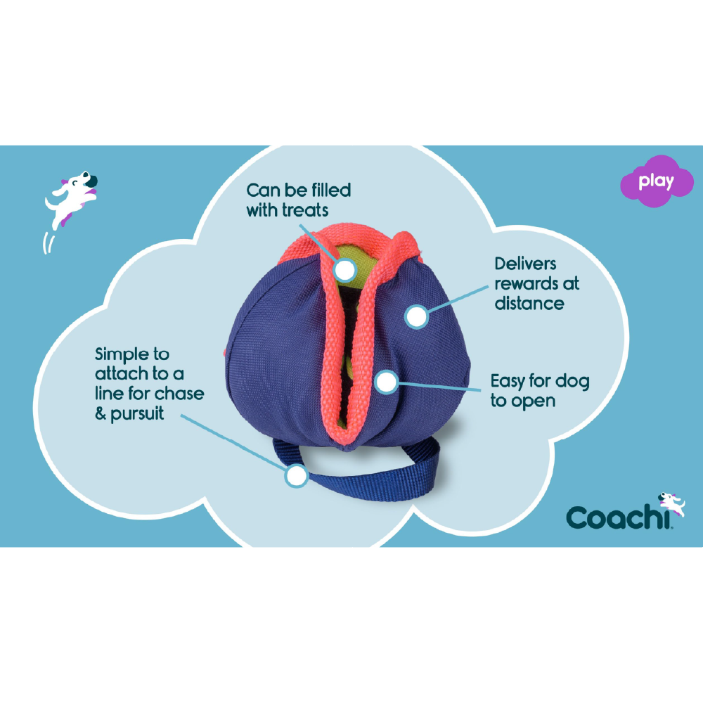 Company of Animals Coachi Chase & Treat Dog Toy