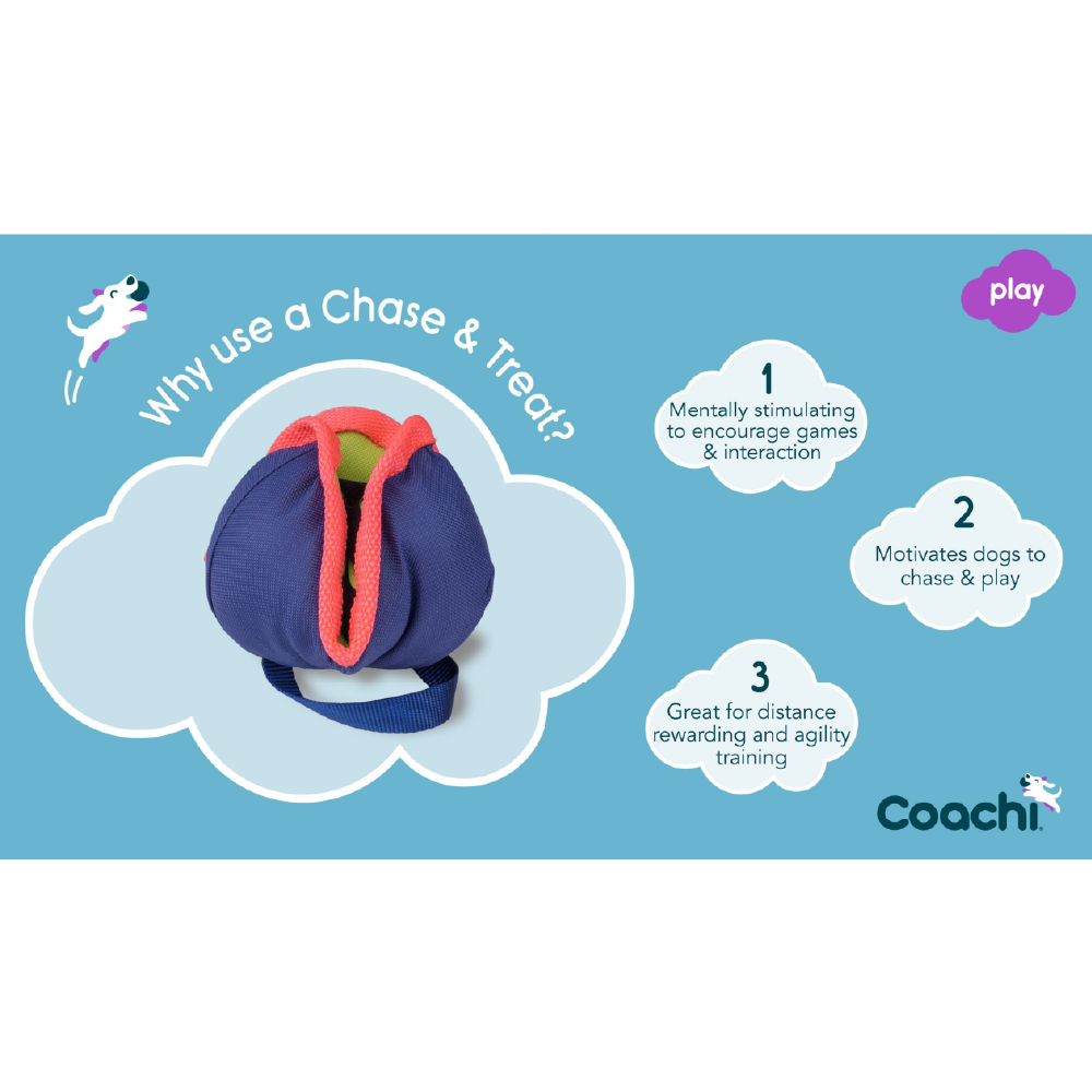 Company of Animals Coachi Chase & Treat Dog Toy