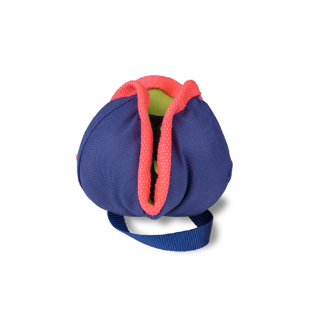Company of Animals Coachi Chase & Treat Dog Toy