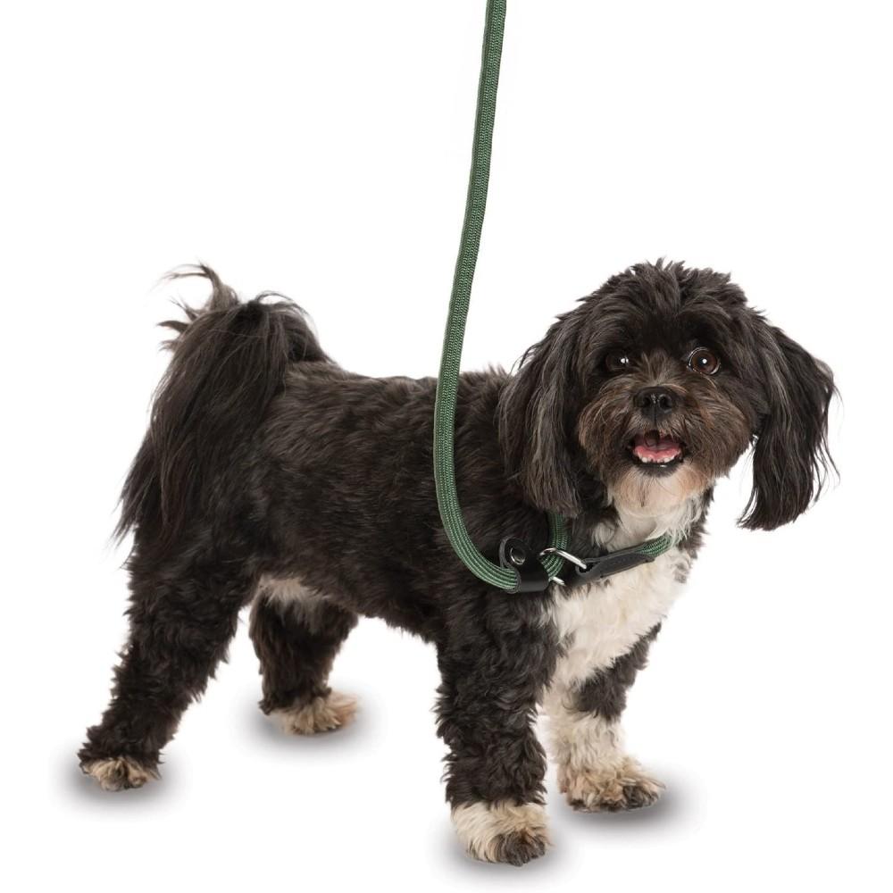 3 in hotsell 1 dog leash