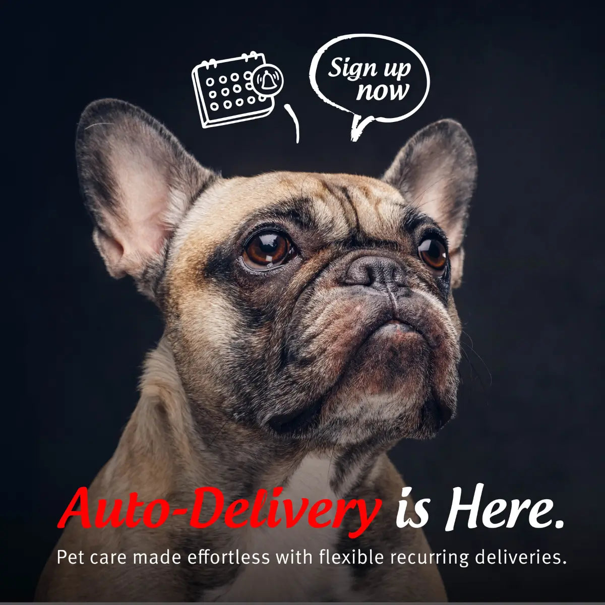 Free Gift with 3rd Auto-Delivery
