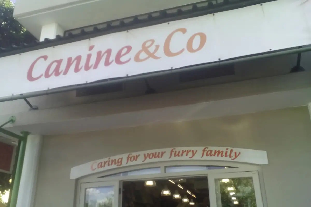 Canine & Co