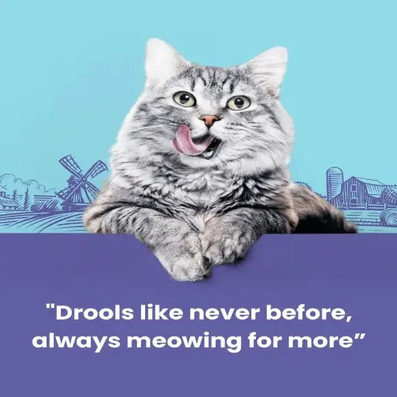 Playful cat with a joyful expression, promoting irresistible pet food.