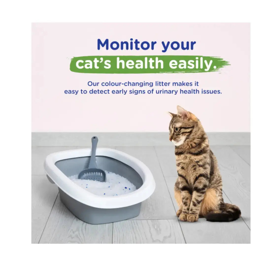 Cat Litter Micro Crystals With Health Indicator   | Canine & Co