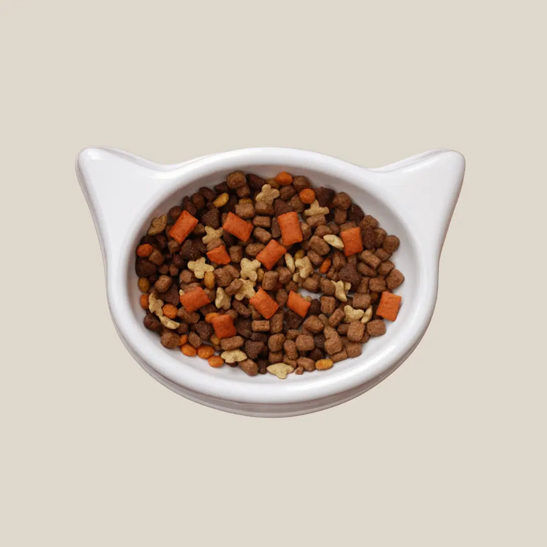 Cat Food