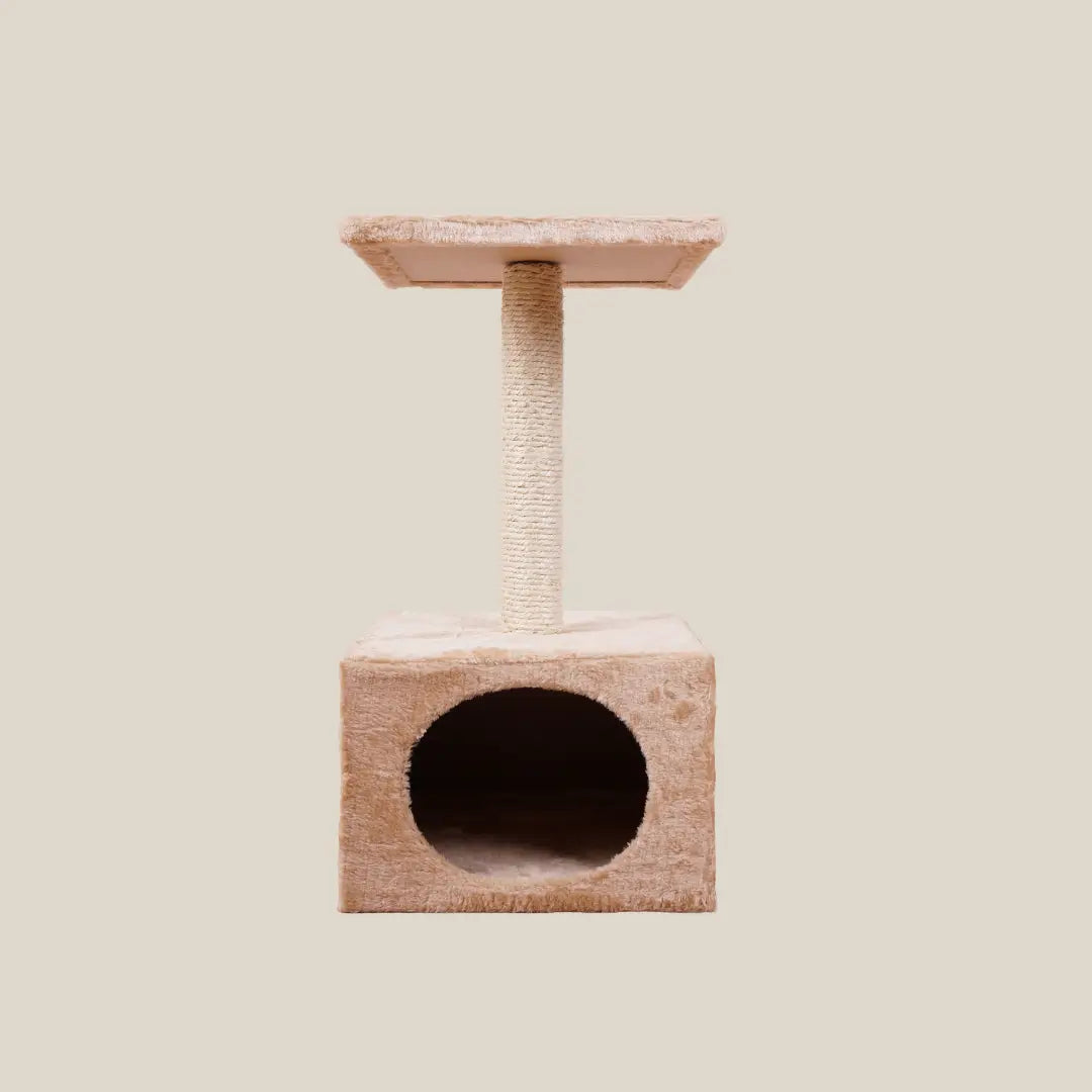 Catt Scratchers